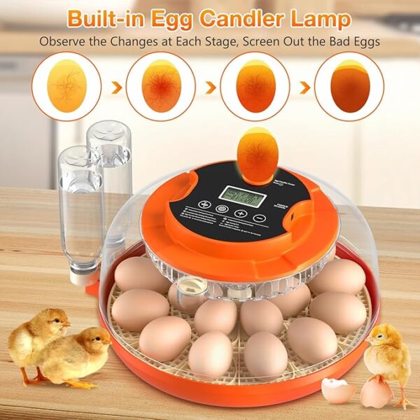 18 Egg Incubator with Automatic Egg Turning