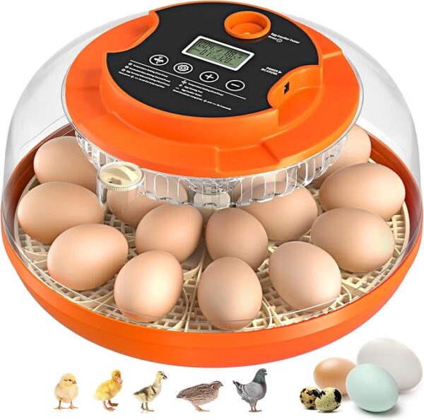 18 Egg Incubator with Automatic Egg Turning - Image 2