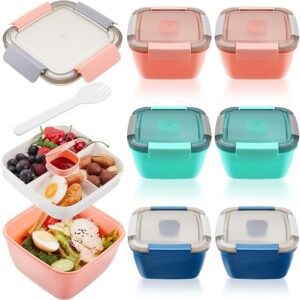 Tessco 6 Pcs Salad Lunch Container 50 oz Salad