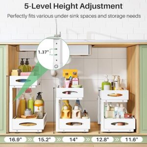 Under Sink Organizer, 2 Tier Pull out Cabinet