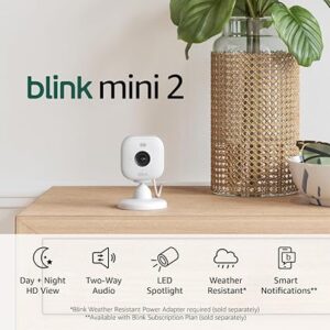 Blink Mini 2 (Newest Model) — Home Security